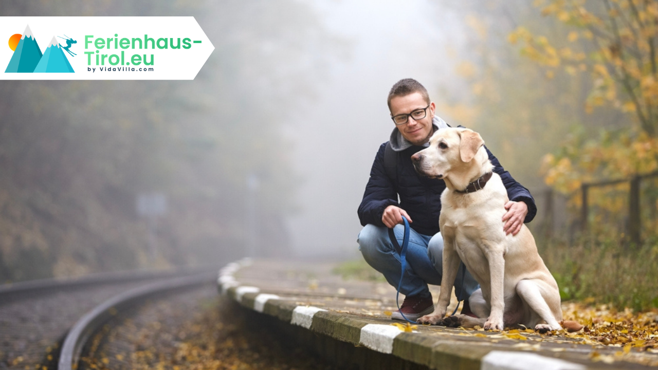 Mit Hund in Österreich: Bus, Bahn und Bergbahn