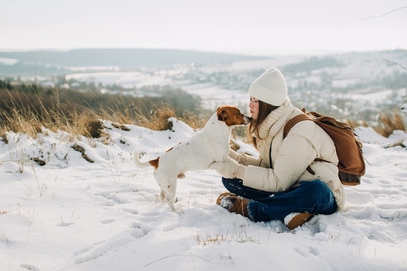 Wat neem je mee voor je hond?